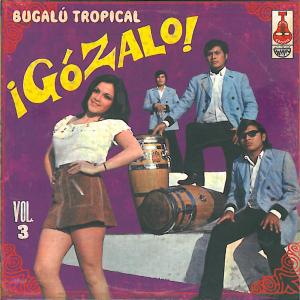 Various - Gozalo! Vol.3 (2xlp)