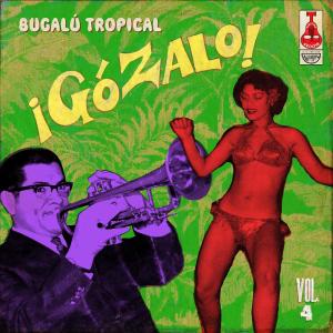 Various - Gozalo! Vol.4 (2xlp)