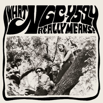 Ngc-4594 - What Really Means! (lp+7")