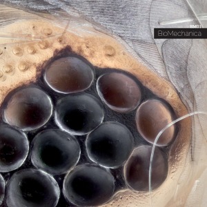 Biomechanica - Bm-01