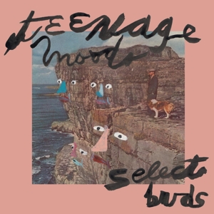 Teenage Moods - Select Buds