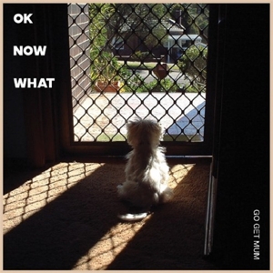 Go Get Mum - Ok Now What