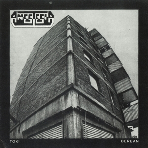 Anestesia - Toki Berean
