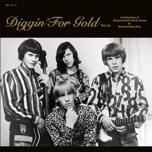 Various - Diggin' For Gold Vol 14
