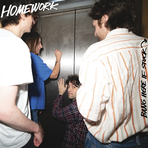 Homework - Bang Here If Stuck (transp Turquoise)